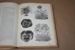 Peter Henderson - Henderson's Handbook of Plants & General Horticulture