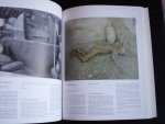 Catalogus - Rediscovering Pompeii