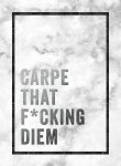  - Cadeauboeken - Carpe that f*cking diem