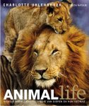 Charlotte Uhlenbroek - Animal Life visuele wereldencyclopedie van dieren en hun gedrag