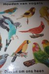 Boorer, Wendy - HOUDEN VAN VOGELS