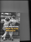 Brokken, Jan - Mijn kleine waanzin / roman