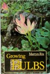 Martyn Rix 11434 - Growing Bulbs
