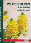 Fletcher, Neil - Wilde Bloemen & Planten in Nederland Fletcher, Neil - Wilde Bloemen & Planten in Nederland