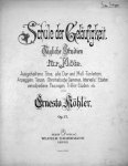 Köhler, Ernesto: - Schule der Geläufigkeit. Tägliche Studien für Flöte... Op. 77