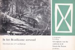 Blijdestijn, J.P. van (herz. tekst) - In het Braziliaanse oerwoud [Schoolplaten voor het onderwijs in de Kennis der Natuur, 2e serie, nr. 8]