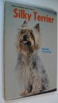 Young Betty - Silky Terrier