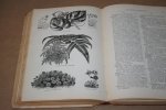 Peter Henderson - Henderson's Handbook of Plants & General Horticulture