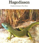  - HAGEDISSEN - Claudia Schnieper - uitgeverij Meulenhoff