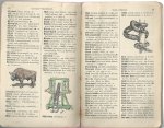 Koenen, M.J. - Geïllustreerd woordenboekje der Nederlandsche taal ten dienste van minder gevorderde leerlingen. Met 165 afbeeldingen tusschen den tekst.