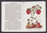 Otto Appel - Krankheiten des Beeren- und Schalenobstes