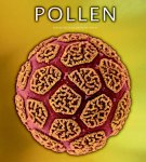 Rob Kesseler, Madeline Harley - Pollen. De verborgen seksualiteit van planten