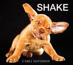 Carli Davidson 160204 - Shake