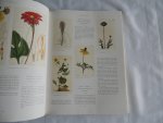 RIX, Martyn (introduction by) - Art in Nature. Over 500 Plants illustrated from Curtis's Botanical Magazine.