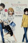 Hirasaka Yomi - A Sister's All You Need., Vol. 1 (light novel)