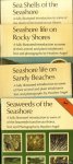 Angel, Heather - 4x Seashore: 1) Seaweeds of the Seashore; 2) Seashore life on Sandy Beaches 3) Seashore life on Rocky Shores; 4) Sea Shells of the Seashore