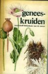 Star , Fr./V. Jir sek. - Geneeskruiden. Star , Fr./V. Jir sek. - Geneeskruiden.