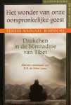Tenzin Wangyal Rinpoche (Rinpoche.) , Elizabeth van Velsen - Het wonder van onze oorspronkelijke geest Dzokchen in de bontraditie van Tibet