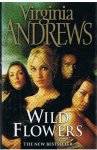 Andrews, Virginia - The Wildflowers - part 1 - Misty