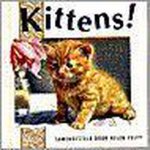 P. Brown - Kittens!