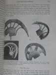 Te Rangi Hiroa [Peter H.Buck] - Arts & Crafts of Hawaii, Clothing, Section V