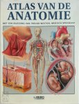 A. Smink - Atlas van de anatomie