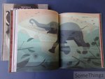 Dieter Braun, Silke Bouman (illustr.). - Wilde dieren van het noorden. Wilde dieren van het zuiden. [2 vol.]