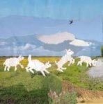 Koning de Groot, Foskea - Groot, Arien de - De kleine lammetjes