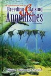 Stansbury, Edward - Breeding & Raising Angelfishes