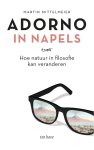 Martin Mittelmeier - Adorno in Napels Hoe natuur in filosofie kan veranderen