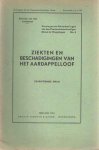  - Ziekten en beschadigingen van het aardappelloof