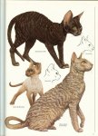 RICHARDS DOROTHY SILKSTONE met medewerking van CHARLENE BEANE & MICHAEL FINDLAY en tekeningen van JOHN FRANCIS - Het boek van de KAT * rijk geïllustreerde encyclopedie van katterassen en compleet handboek, met alle informatie over kopen,verzorgen,fokken * deel een beschrijving der rassen...langharige katten&kortharige