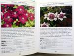 Welland, Frances - Plants for Small Gardens (ENGELSTALIG)