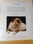  - Het kattendagboek