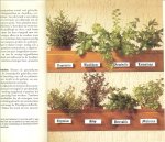 Goock Roland  Nederlandse vertaling Mieneke Bruins Slot   en Tekeningen van  Betty Kothe-Marxmeier - Kruiden en speceryen van a tot z