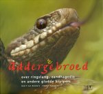 ROEBERS, GEERT-JAN & STEFAN HALEWIJN. - Addergebroed. Over ringslang, zandhagedis en andere gladde kruipers.