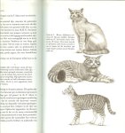 Beadle  Muriel; Vertaald  door  Drs . Jurgens, Annemieke  en Tekeningen  E. John Pfiffner - Kat  ..   Het standaardwerk over de felis domestica