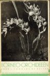 COOMANS-DE RUITER, L - Borneo orchideeën