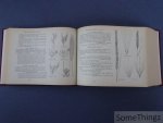 Heimans, E. /  H.W. Heinsius en Jac P. Thijsse. - Geïllustreerde Flora van Nederland. Handleiding voor het bepalen van den naam der in Nederland in 't wild groeiende en verbouwde gewassen en van een groot aantal sierplanten. Met meer dan zesduizend figuren.