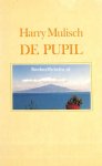 Mulisch, Harry - De pupil