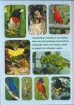 Hulst, R.J. van der - Kweken met Amerikaanse zangvogels / Kardinalen, Kernbijters, Bisschoppen, Kleurvinken en Sijzen