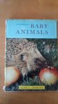 Alan C. Jenkins - Introducing Baby Animals