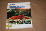 J. Frische - Garnelen und Krebse im Meerwasseraquarium