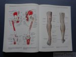 .J. Sobotta - Atlas van de menselijke anatomie. Deel 2: romp, organen, onderste extremiteit.