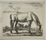 Adriaen van de Velde (1636-1672) - Antique print, etching | Grazing Horse [10 different animals: set title] - A. Van de Velde, published before 1672, 1 p.