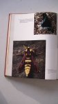 Klots, prof. Dr. Alexander B. / Klots, Elsie B. - De wereld der dieren: INSEKTEN