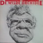 Drs. P [ H. Polzer] , Frits Oppenoorth - Het geheim van het bestaan. Tekstboek + 2 LP's