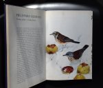 Mitchell, Alan/Paintings by Terence Lambert - Lambert's Birds of Garden and Woodland