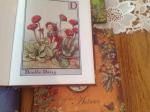 Cicely Mary Barker - Flower Fairies serie van Barker