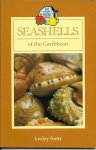 SUTTY, LESLEY - Seashells of the Caribbean